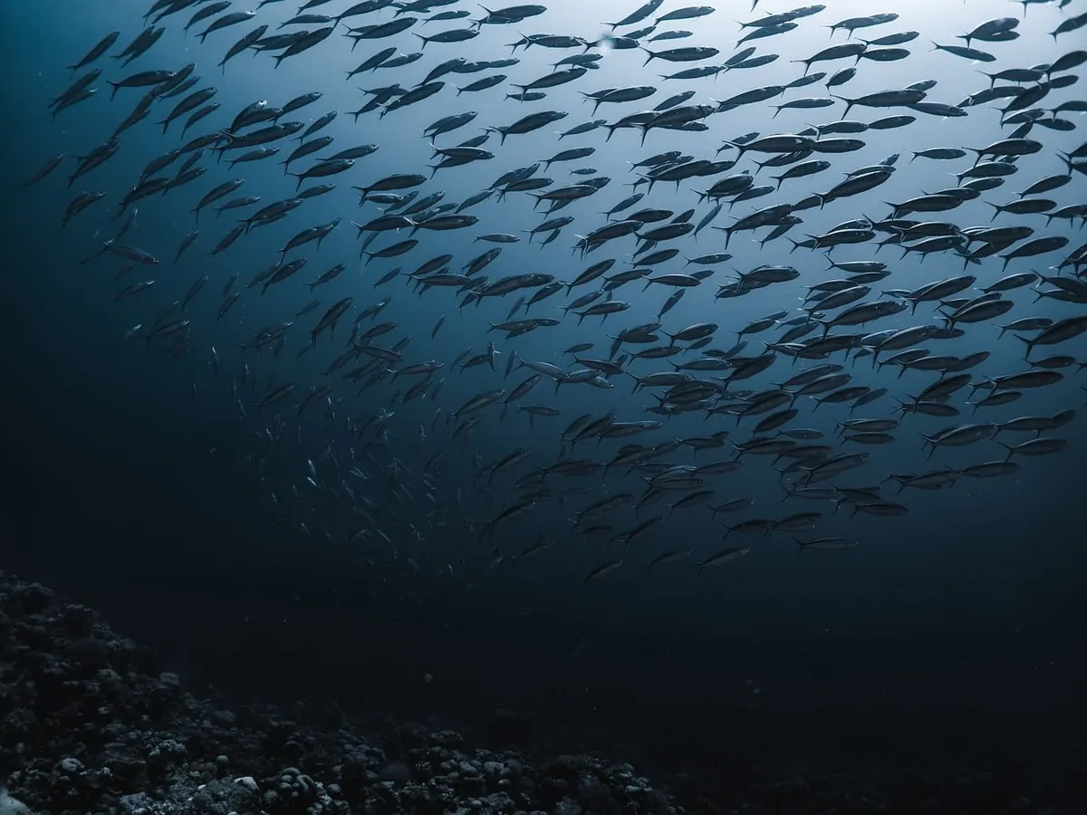 Dark Web vs. Deep Web: A Plain-English Explainer for Non-Technical Readers